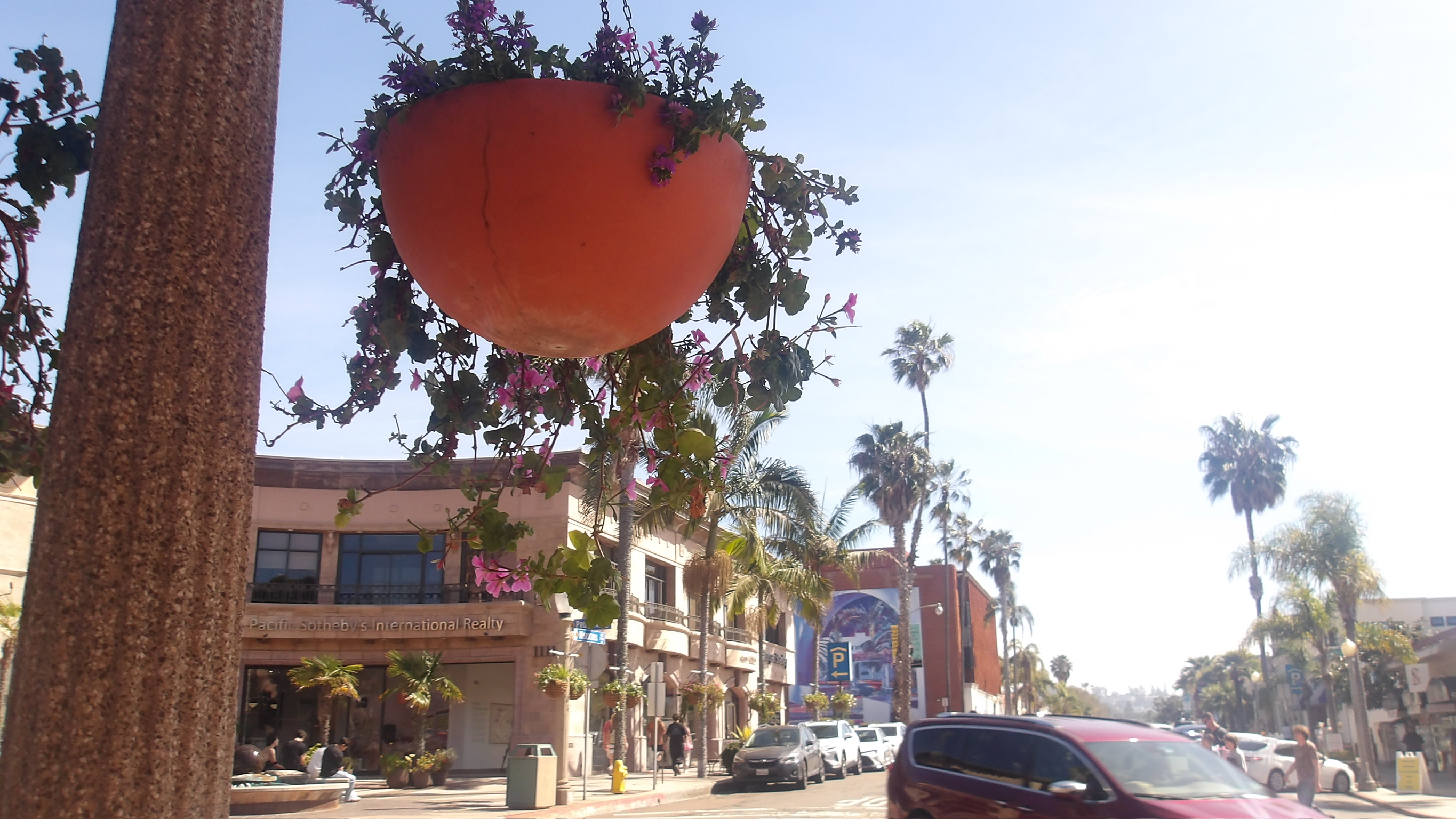 CALIFORNIA SPRING 26 photo